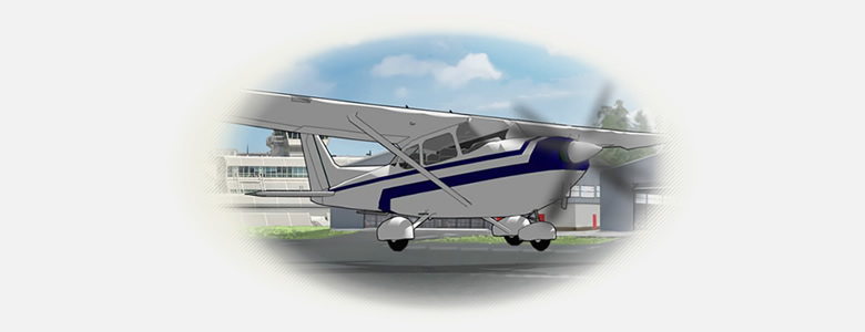 Flight Management 10