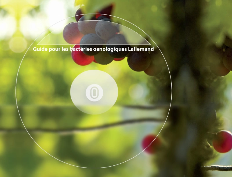 Bacteria Wheel Thumb