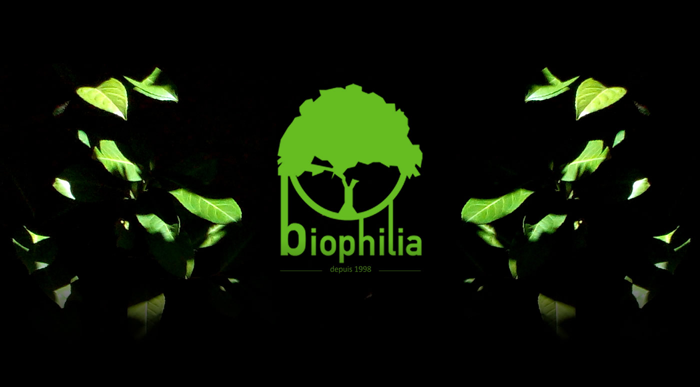 Biophilia logo s7