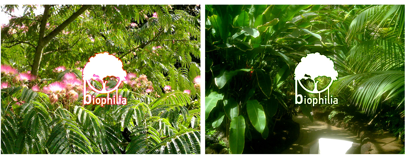 Biophilia logo s8c