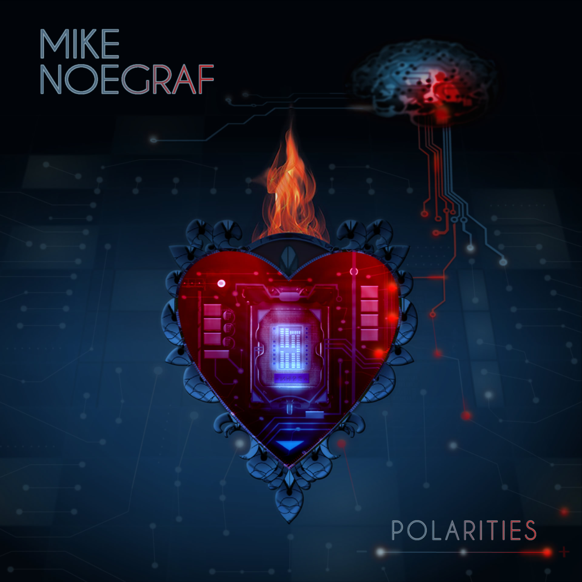 Polarities front cover